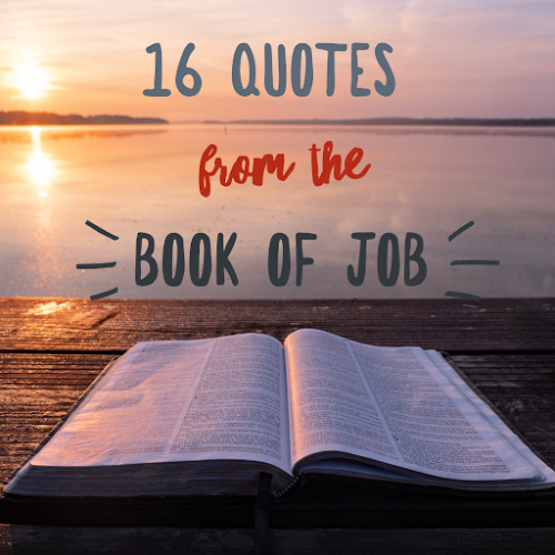 quotes from book of job