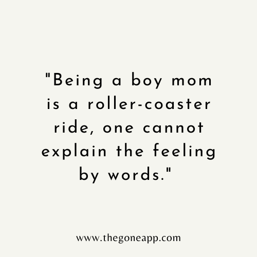 Boy Mom Quotes Funny