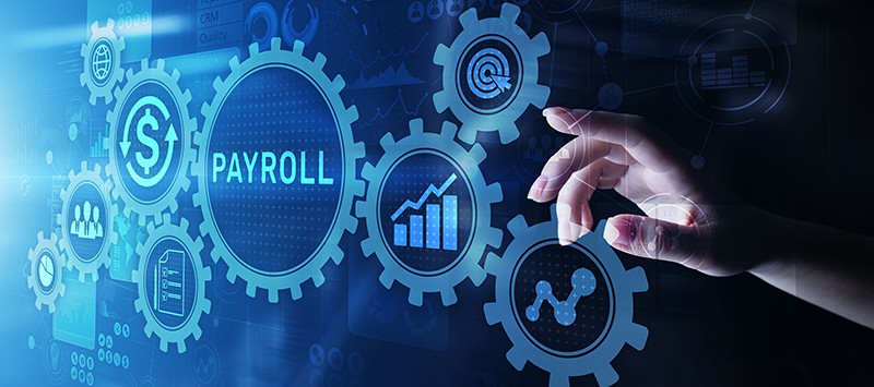 Why Payroll Software Is Necessary- Can You Manage Your Company’s Payroll Without It?