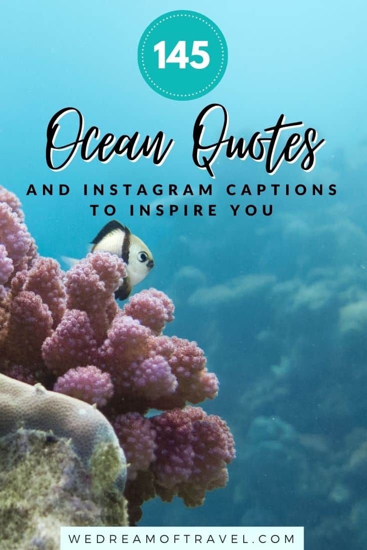 Discover 145+ of the BEST ocean quotes to inspire you to get out to the beach. Or maybe you