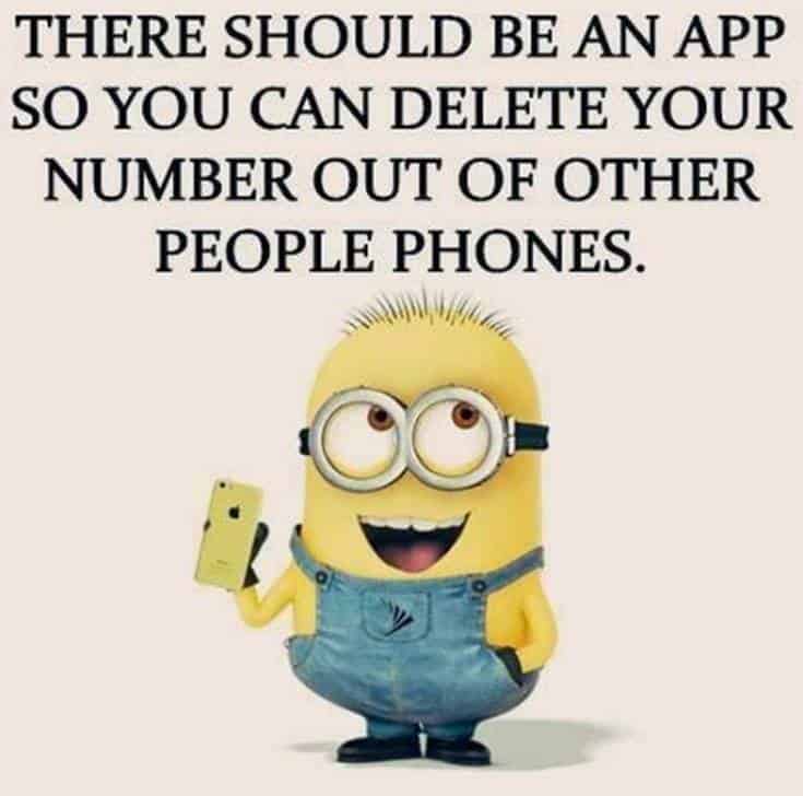 50 Best Funny Minion Quotes 7