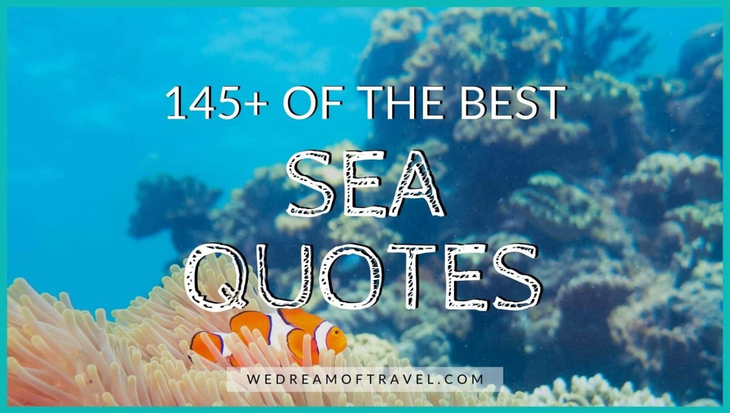 Sea Quotes: 145+ Best Quotes About the Ocean blog cover photo. Text overlaying an image of a clown fish in an anemone.