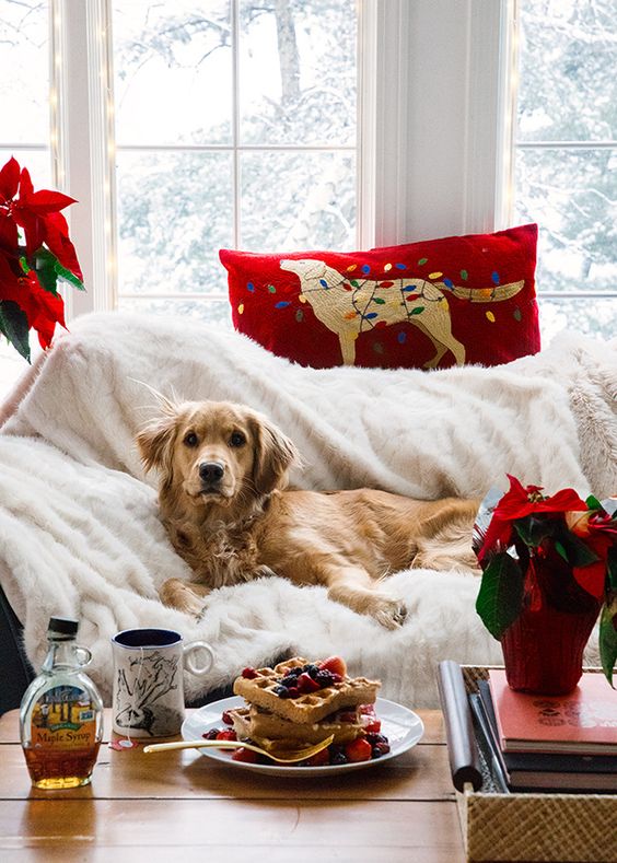 Aesthetic Christmas pictures with Golden Retriever dog and waffles