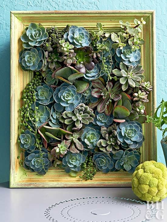 DIY Picture Frame Ideas for gardeners