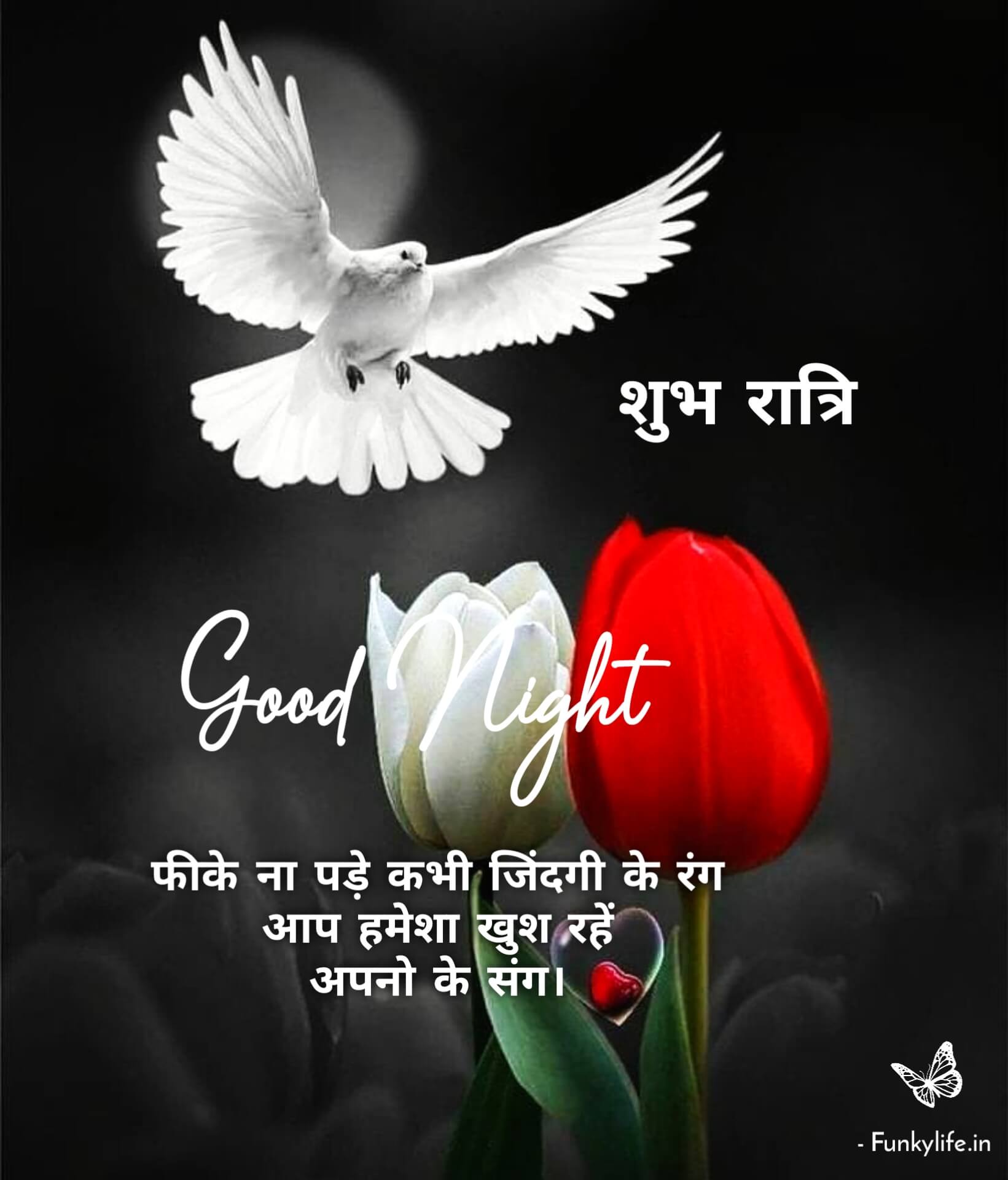 Good Night Images in Hindi