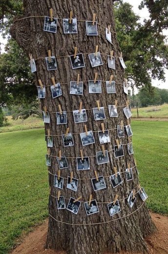 Easy Graduation party rustic picture display ideas using string on a tree for high school and college, boys and girls. Tips and DIY for decorations, pictures, on a budget. #Graduation #GraduationParty #GradParty