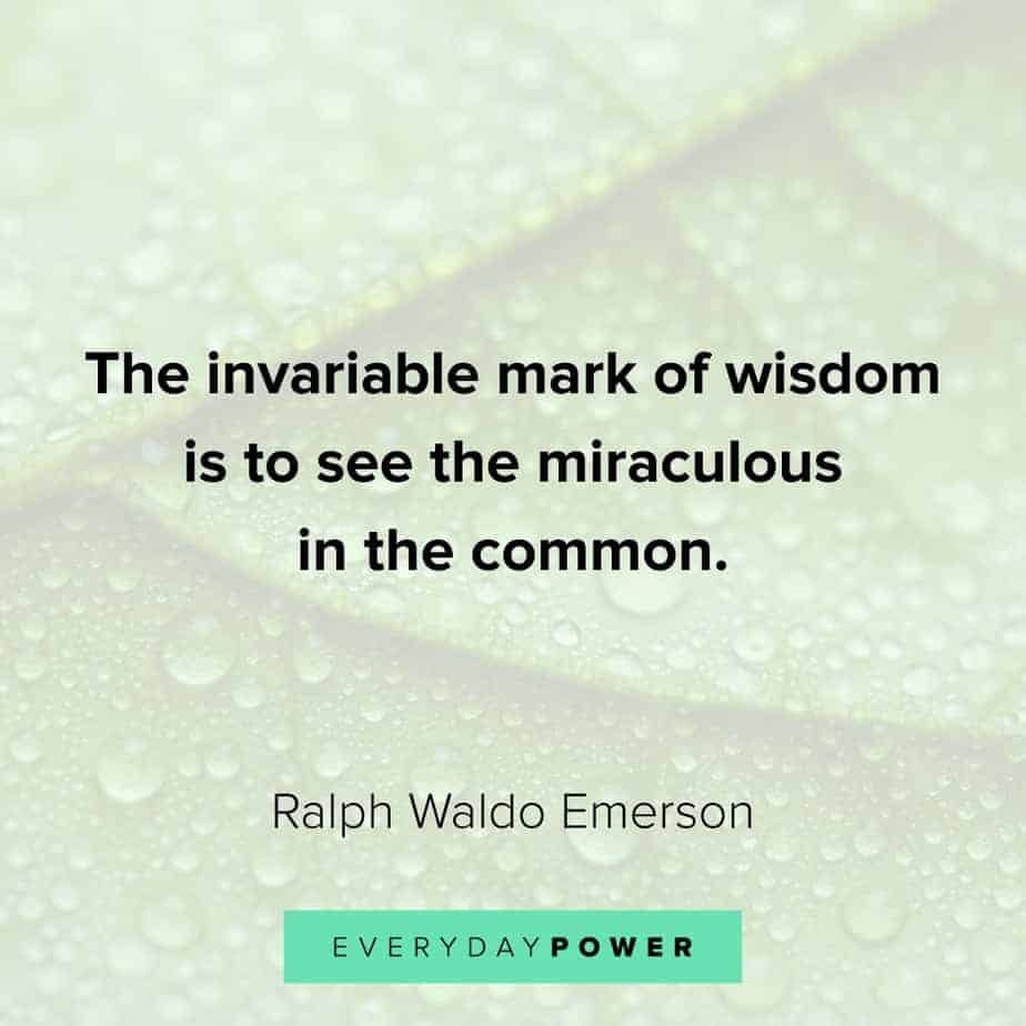 gratitude quotes about wisdom