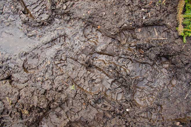 Footprints Visible in Mud