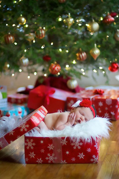 Newborn Christmas Photos - Newborn in a Present