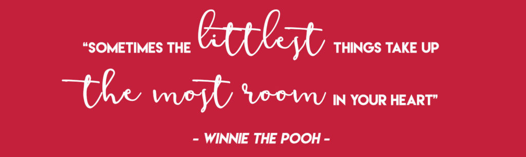 "Sometimes the littlest things take up the most room in your heart" - Winnie the Pooh