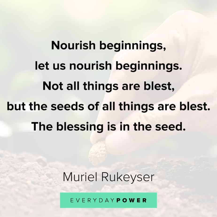 Quotes about new beginnings to nourish your soul