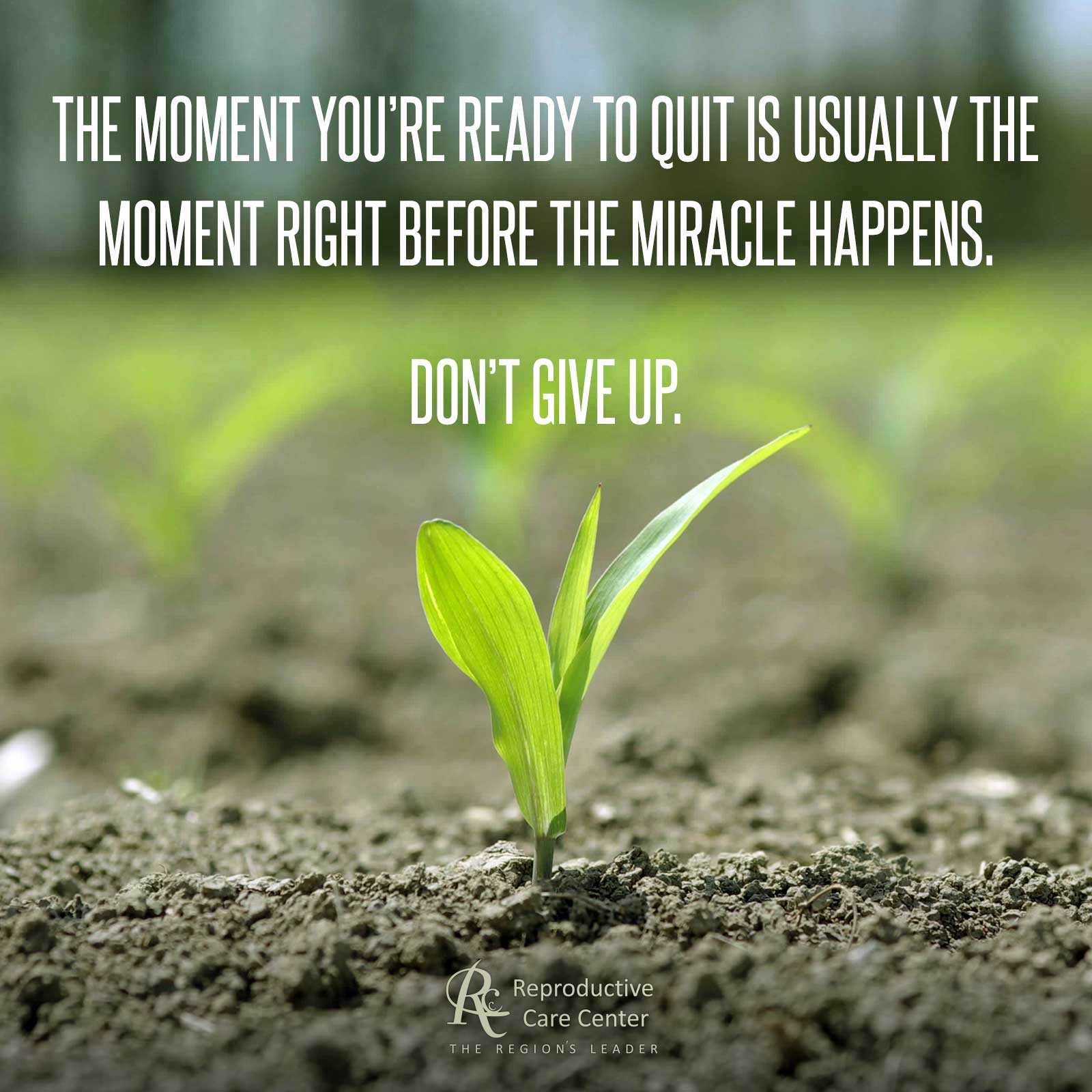 Don’t Give Up.
