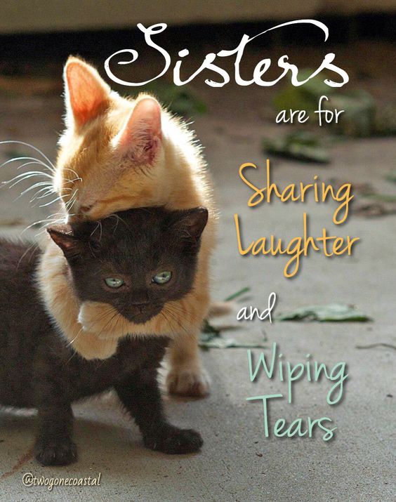 Sisters Tears