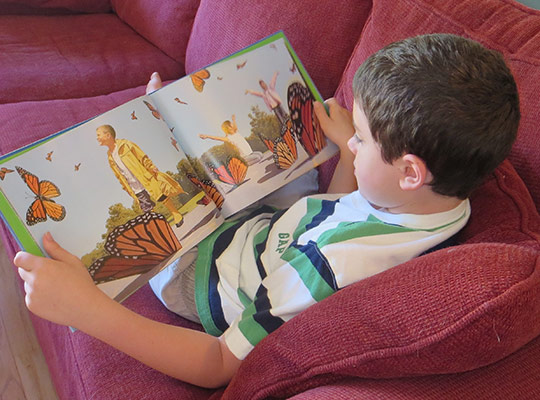 A child reading a wordless picture book